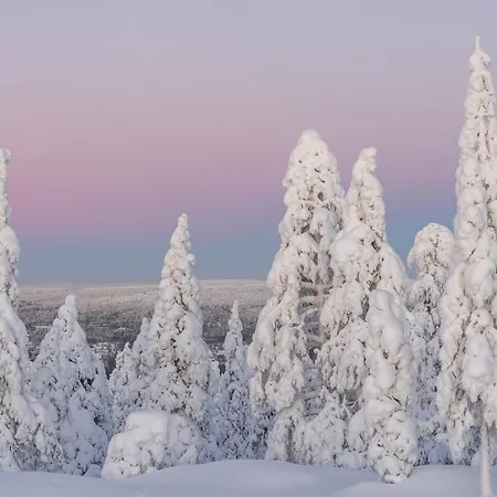 Apartament Northern Bliss Hideaway *